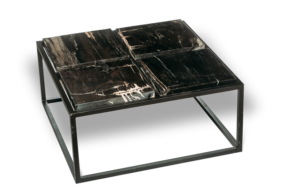Petrified wood coffee table