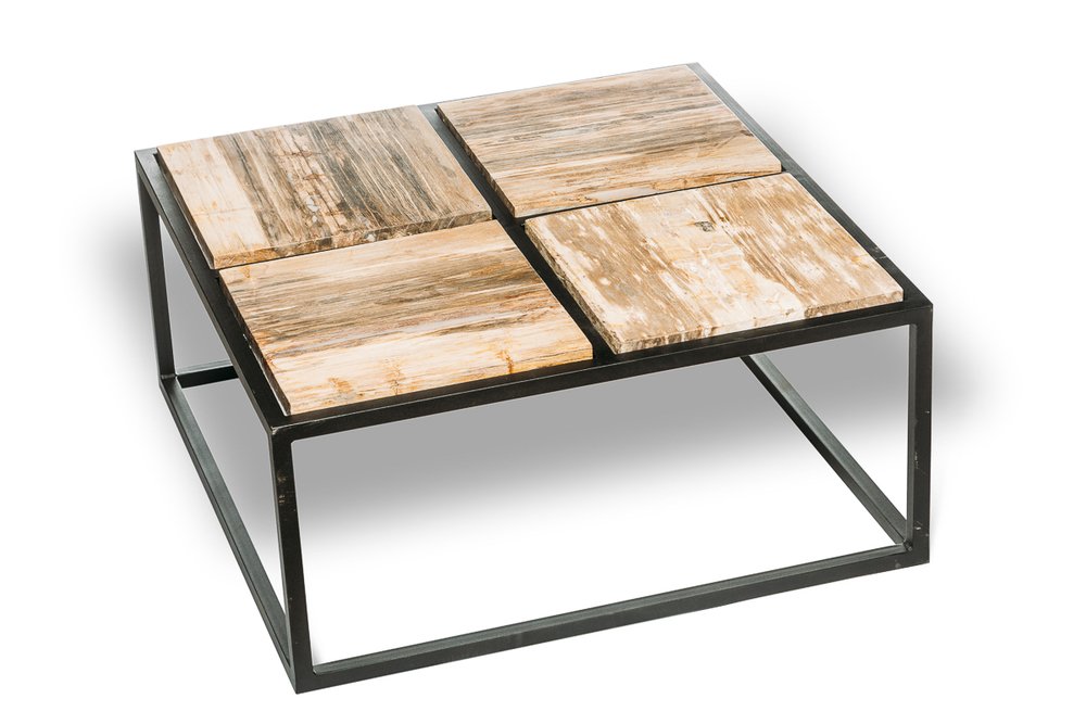 Petrified wood coffee table