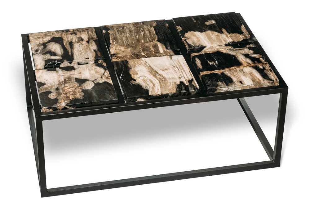 Petrified wood coffee table