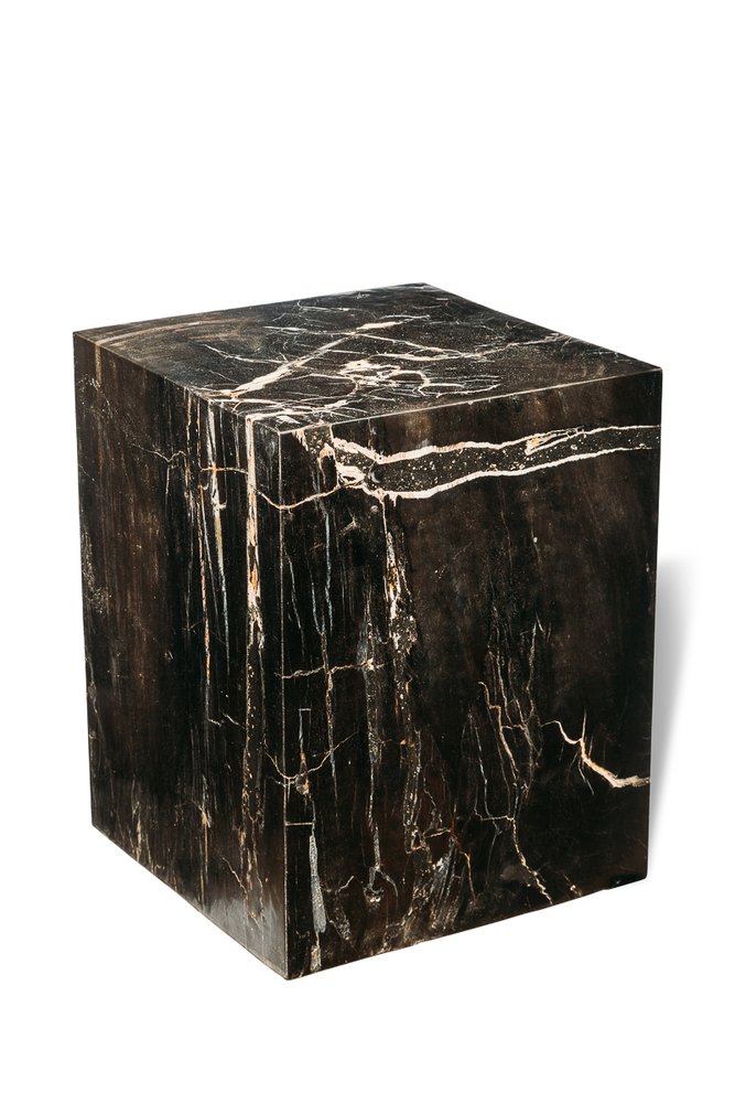 Petrified wood decorative cube