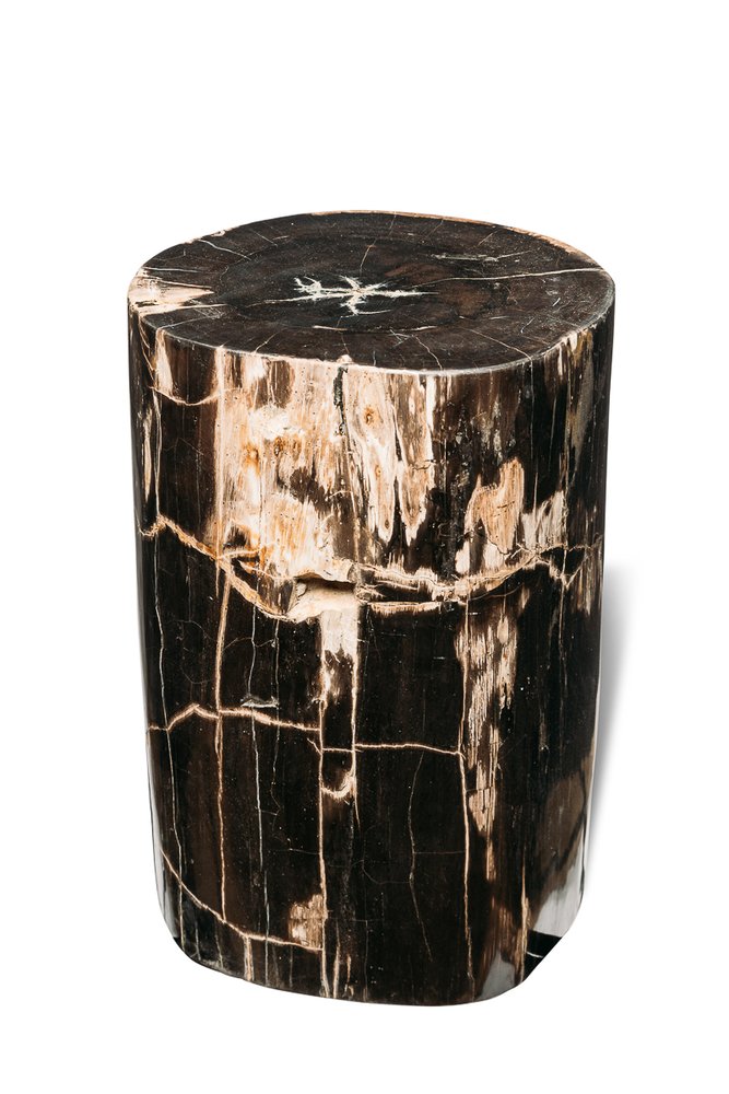 Petrified wood decorative cube