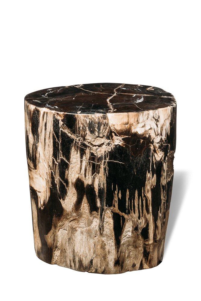 Petrified wood decorative cube