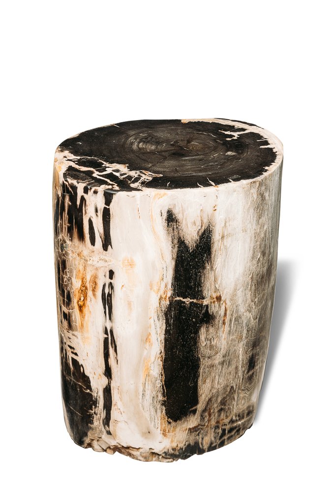 Petrified wood decorative cube