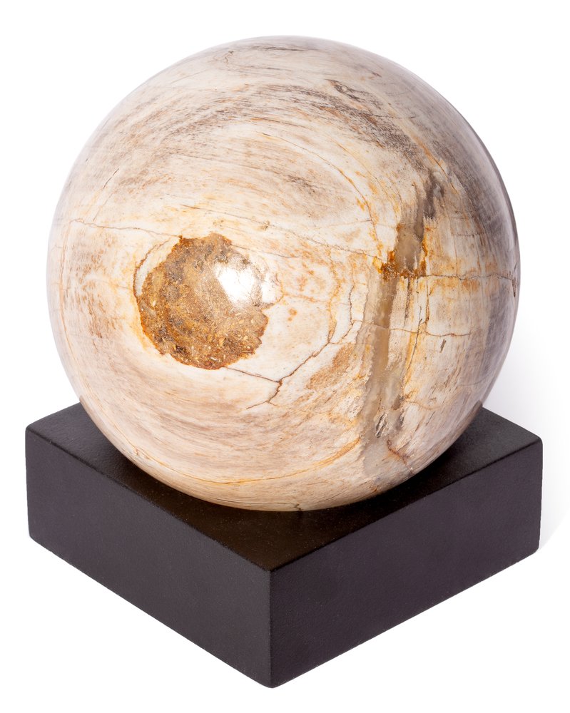 Petrified wood sphere