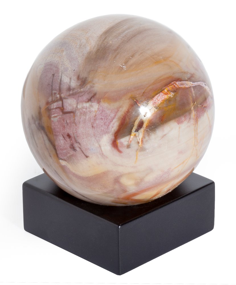 Petrified wood sphere