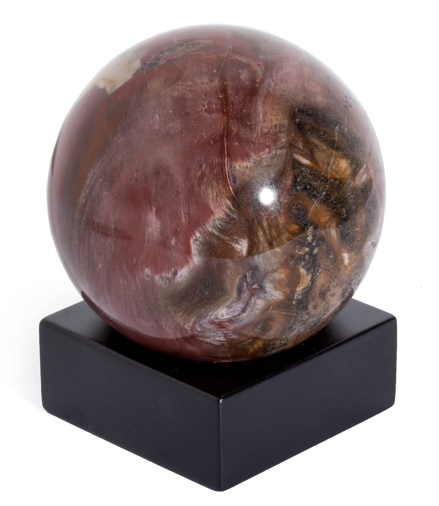 Petrified wood sphere
