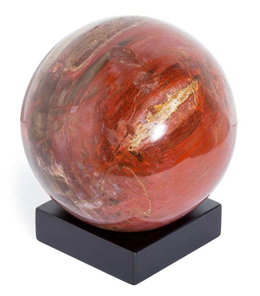 Petrified wood sphere