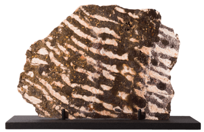 Stromatolites