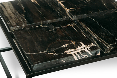 Petrified wood coffee table