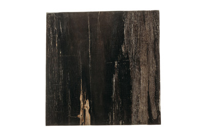 Petrified wood coffee table