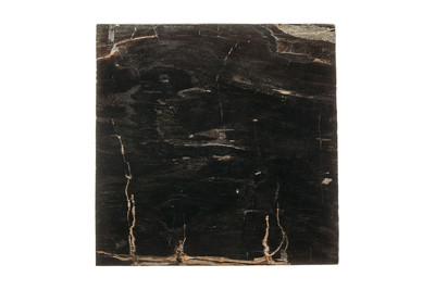 Petrified wood coffee table