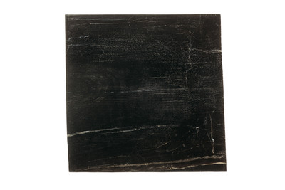 Petrified wood coffee table