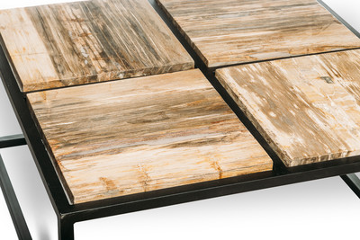 Petrified wood coffee table