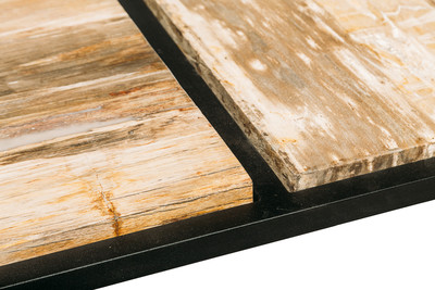 Petrified wood coffee table