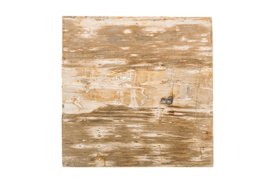 Petrified wood coffee table