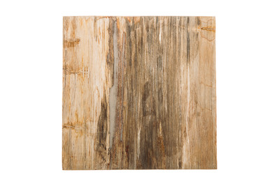 Petrified wood coffee table