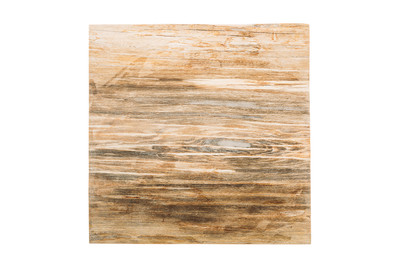 Petrified wood coffee table