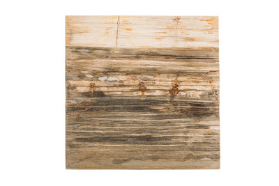 Petrified wood coffee table