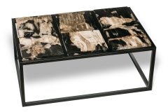 Petrified wood coffee table
