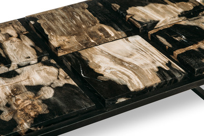 Petrified wood coffee table
