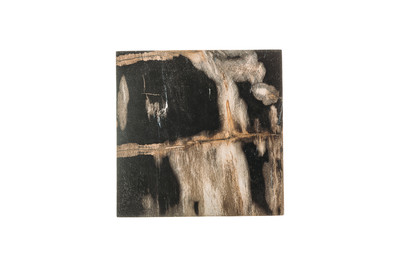 Petrified wood coffee table