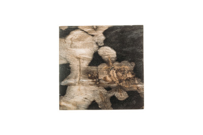 Petrified wood coffee table