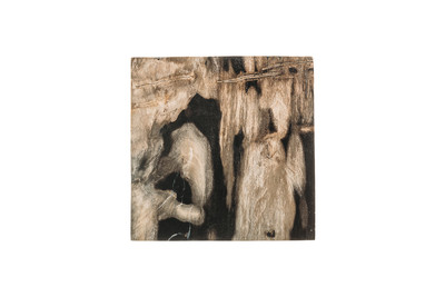 Petrified wood coffee table