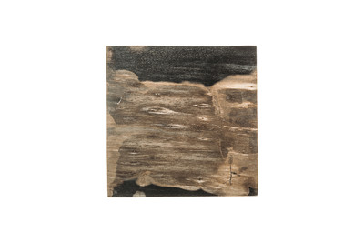 Petrified wood coffee table