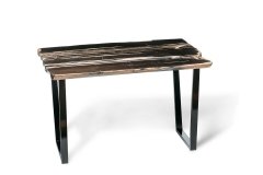 Petrified wood coffee table