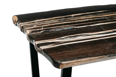 Petrified wood coffee table