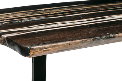 Petrified wood coffee table