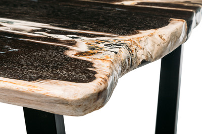 Petrified wood coffee table