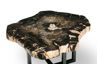 Petrified wood coffee table