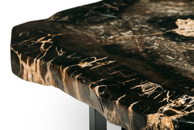 Petrified wood coffee table