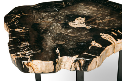 Petrified wood coffee table
