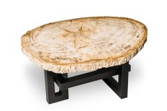 Petrified wood coffee table