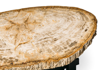Petrified wood coffee table