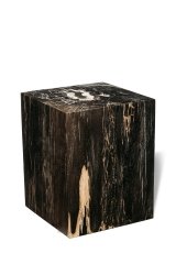Petrified wood decorative cube