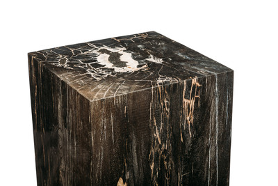 Petrified wood decorative cube