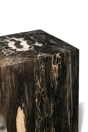 Petrified wood decorative cube