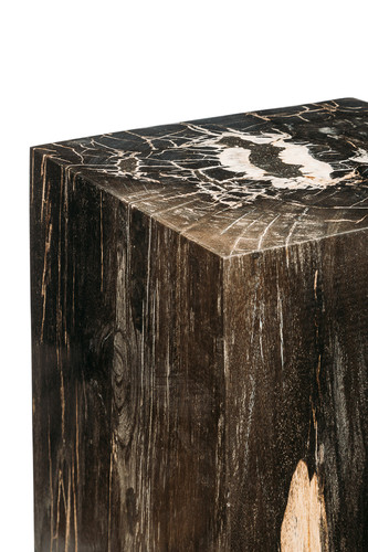 Petrified wood decorative cube