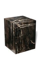 Petrified wood decorative cube