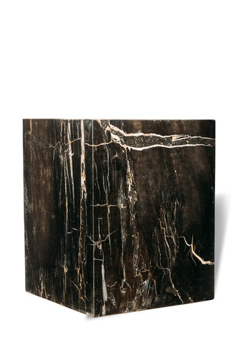 Petrified wood decorative cube