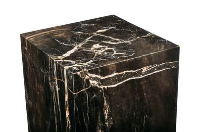 Petrified wood decorative cube