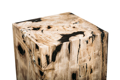 Petrified wood decorative cube