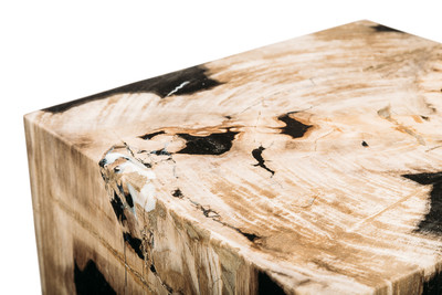 Petrified wood decorative cube