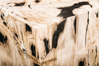 Petrified wood decorative cube