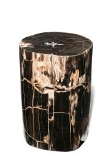 Petrified wood decorative cube