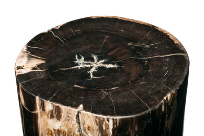 Petrified wood decorative cube