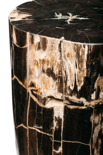 Petrified wood decorative cube